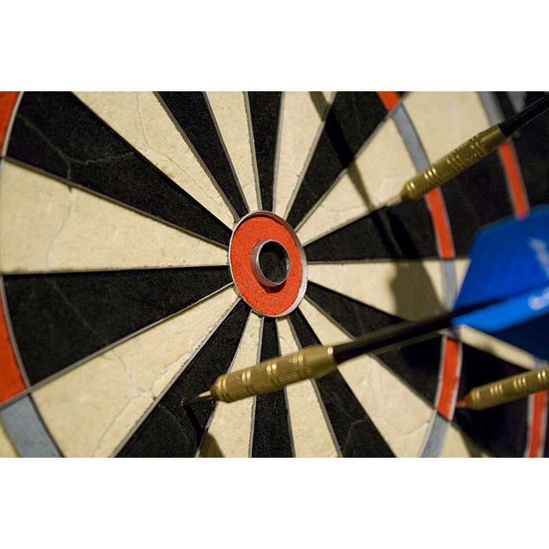 Sniper Steel Tip Dartboard - Image 2